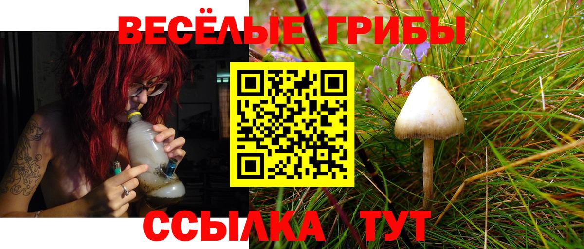 Галлюциногенные грибы Psilocybe  купить наркотик  Домодедово  Вход с VPN 