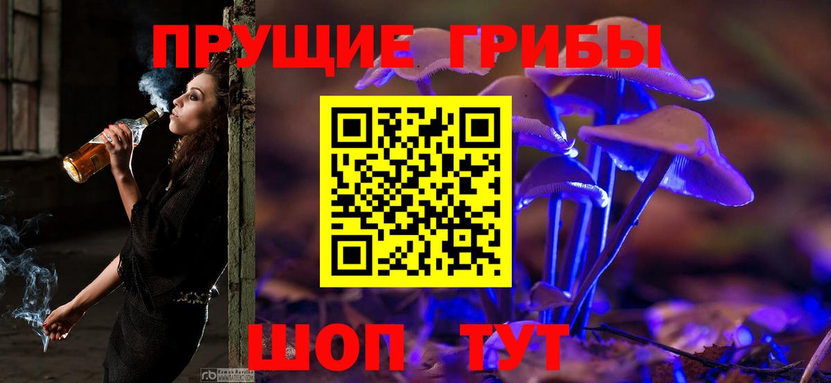 Галлюциногенные грибы Cubensis Домодедово